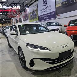 بي واي دي سيل 06 DM-i